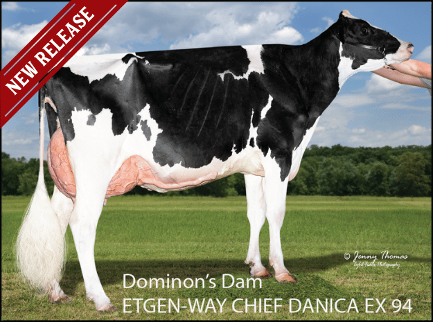 Dominions Dam: Etgen-Way Chief Danica